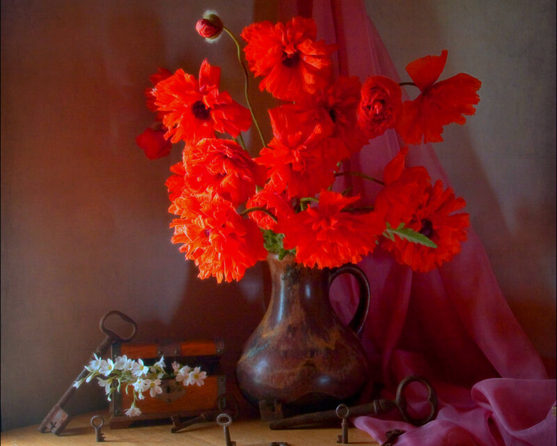 Red Poppies in Vase — Dramatic, Photograph, Keys