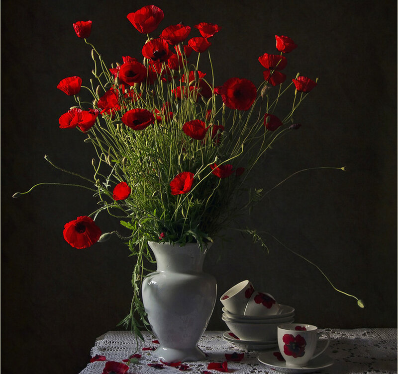Red Poppies in Vase — Dramatic, Photograph, Teacups
