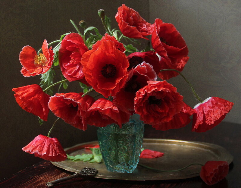 Red Poppies in Vase — Dramatic, Photograph, Tray
