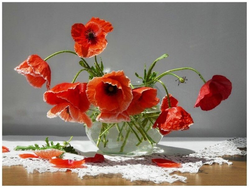 Red Poppies in Vase