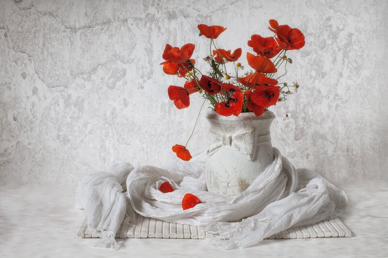 Red Poppies in Vase — White