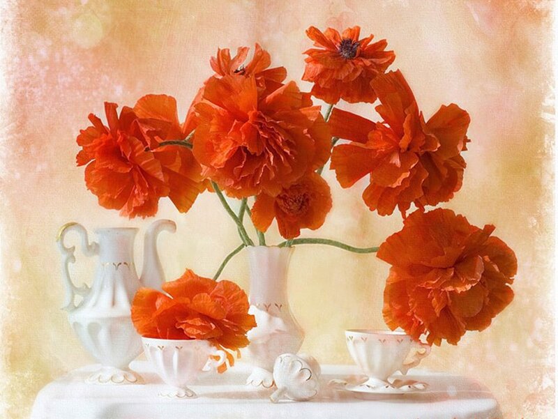 Red Poppies in Vases — Orange