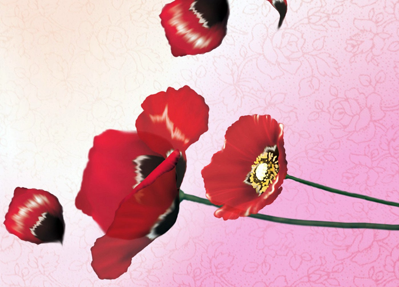 Red poppies on pink background