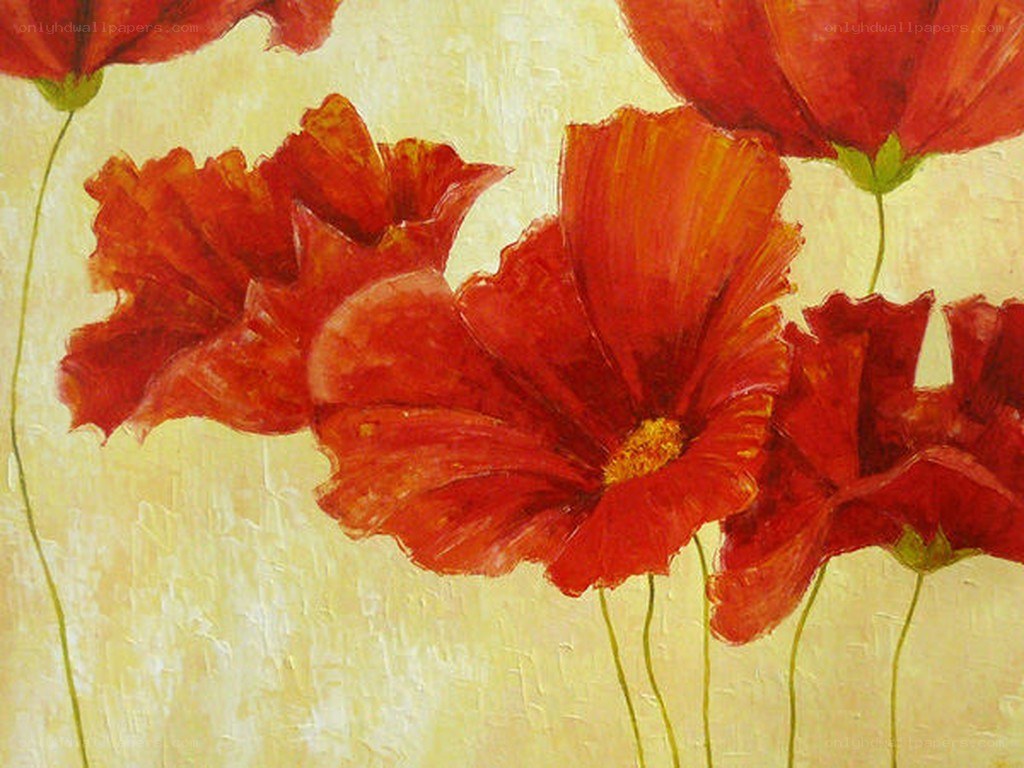Red poppies on yellow background