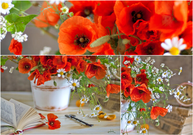 Red Poppy Bouquet — Serene