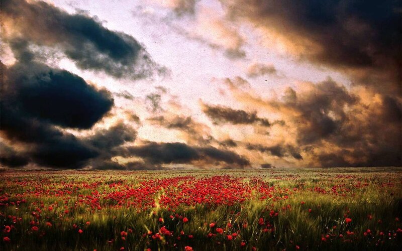 Red Poppy Field — Dramatic, Sunset, Photograph, Clouds