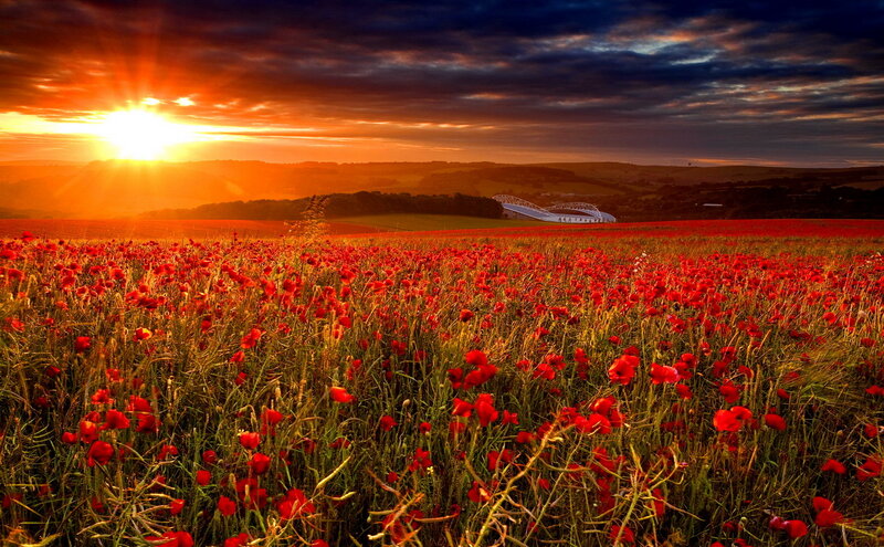 Red Poppy Field — Dramatic, Sunset, Photograph, Sunrise, Hills