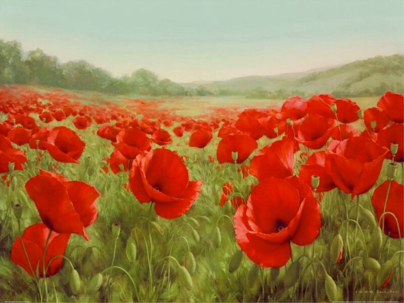 Red Poppy Field — Serene, Afternoon, Painting, Green Grass