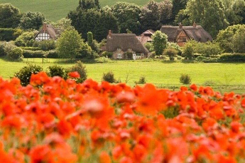 Red Poppy Field — Serene, Summer, Photograph, Thatched Cottages
