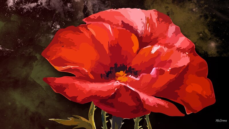 Red Poppy Flower — Dramatic, Digital Art, Stem