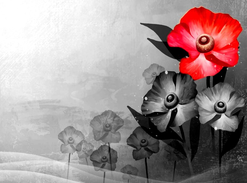 Red Poppy Flower — Dramatic, Digital Art