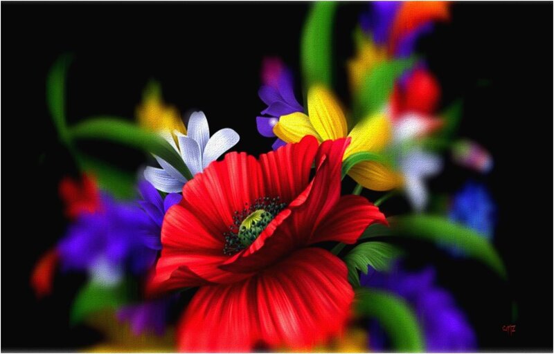 Red Poppy Flower — Dramatic, Digital Art, White Daisy