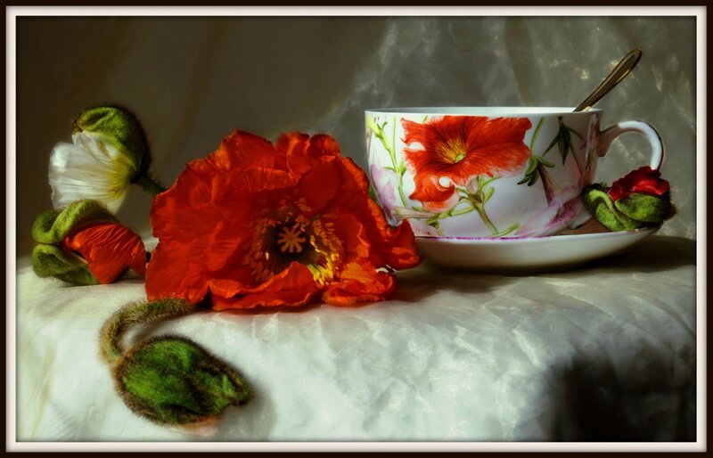 Red Poppy Flower — Dramatic, Photograph, Teacup