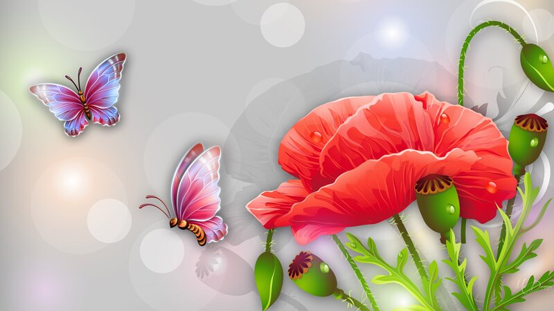 Red Poppy Flower — Serene, Digital Art