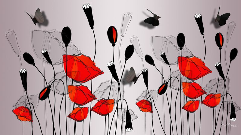 Red Poppy Flowers — Calm, Digital Art