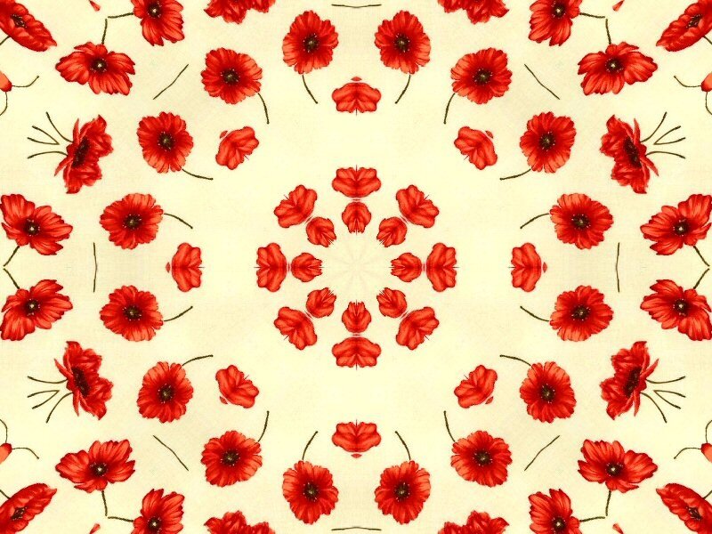 Red Poppy Flowers — Calm, Illustration
