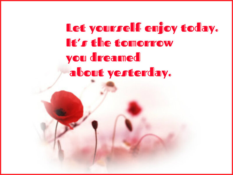 Red Poppy Flowers — Calm, Photograph, Text