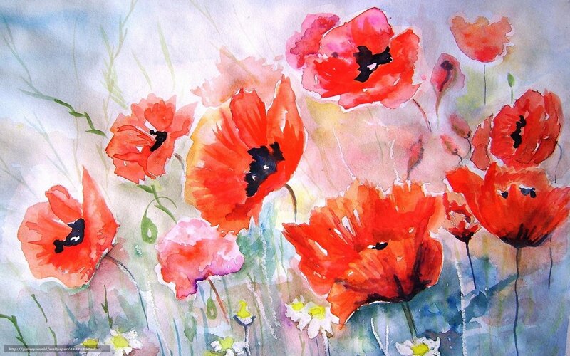 Red Poppy Flowers — Calm, Spring, Painting