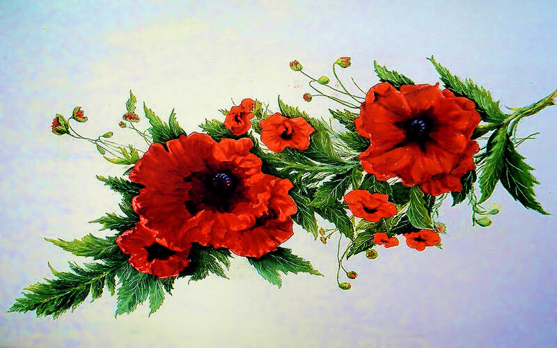 Red Poppy Flowers — Calm
