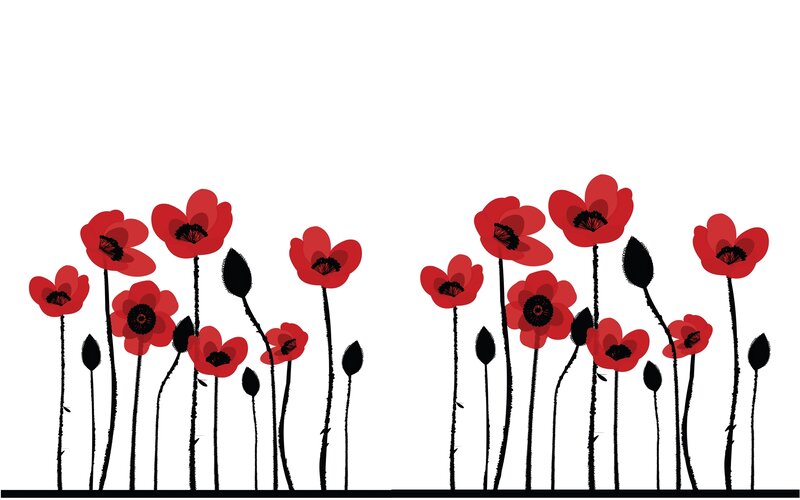 Red Poppy Flowers — Calm, Vector Art