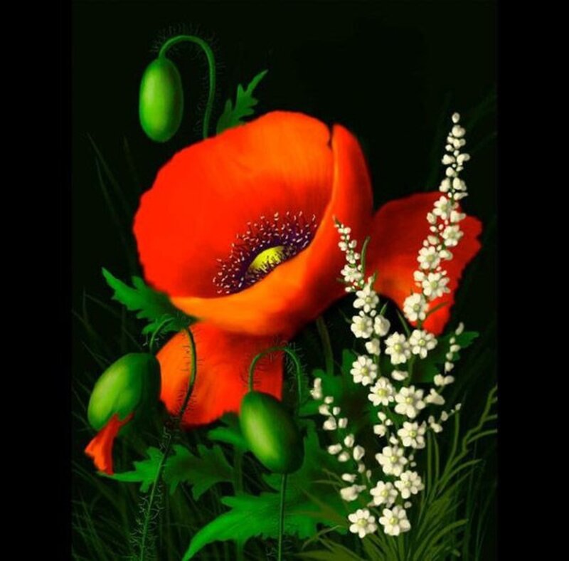 Red Poppy Flowers — Dramatic, Digital Art
