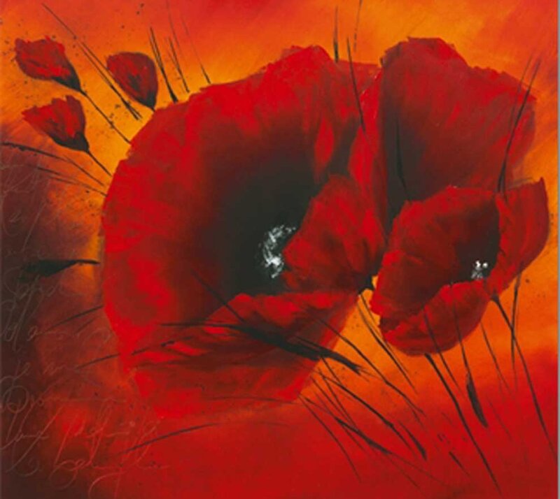 Red Poppy Flowers — Dramatic, Painting, Stems, Background