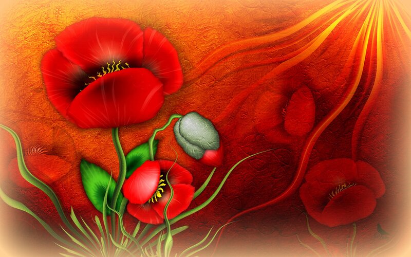 Red Poppy Flowers — Dramatic, Sunset, Digital Art