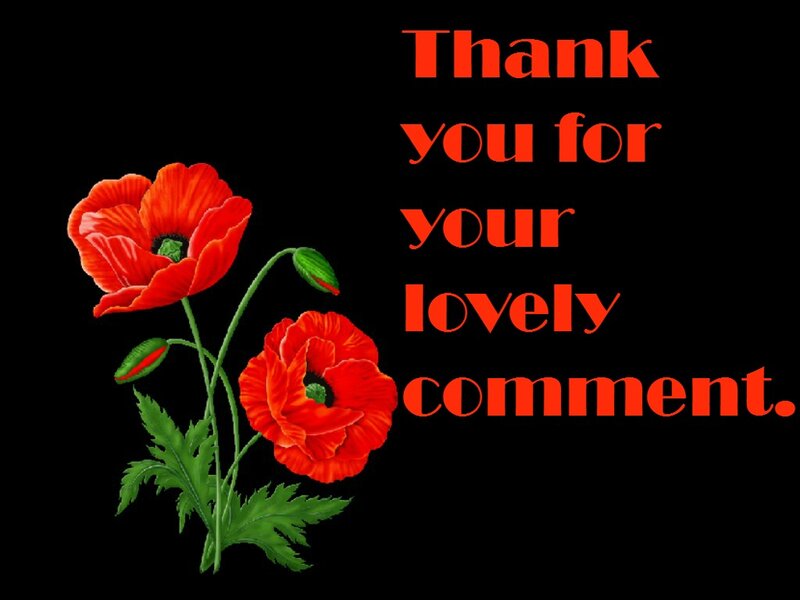 Red Poppy Flowers — Grateful