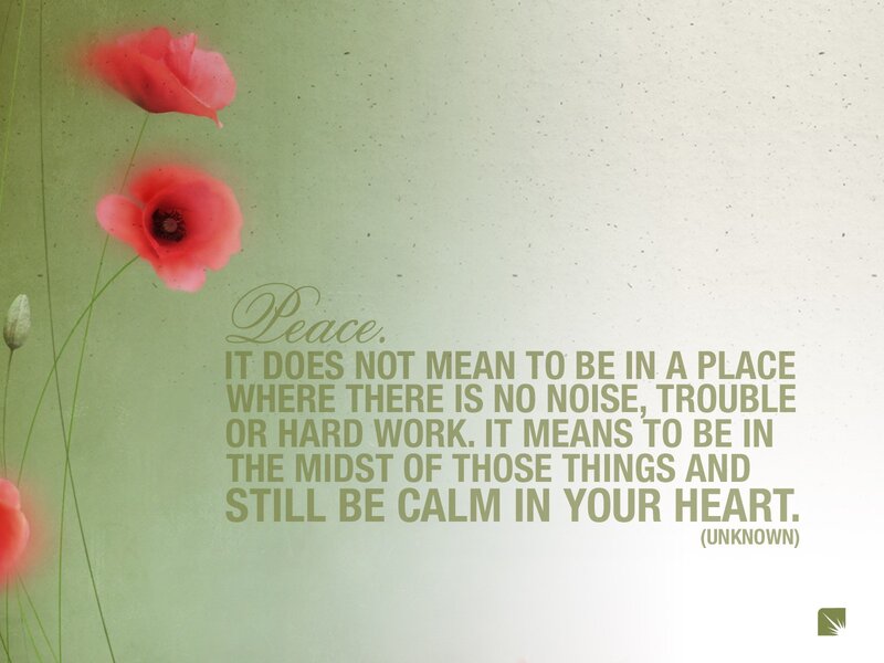 Red Poppy Flowers — Green, Serene