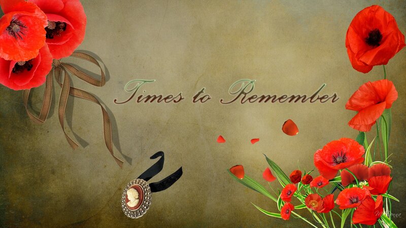 Red Poppy Flowers — Nostalgic