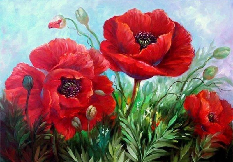 Red Poppy Flowers — Serene, Spring, Painting, Buds