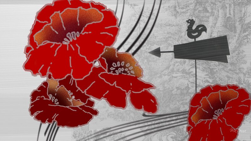 Red Poppy Flowers — Stylized