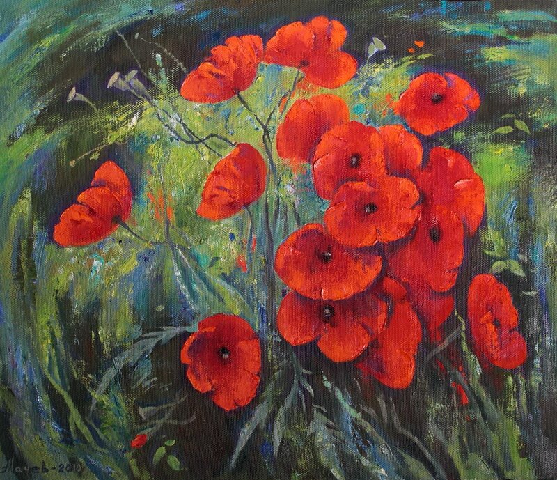Red Poppy Flowers — Vibrant, Daytime