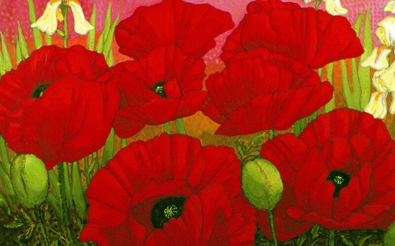 Red Poppy Flowers — Vibrant, Spring, Illustration, Green Stems