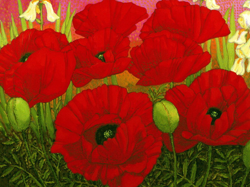 Red Poppy Flowers — Vibrant, Spring, Illustration