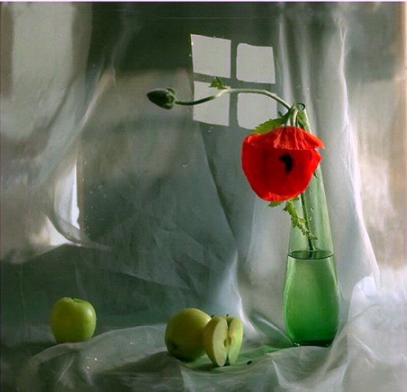 Red Poppy in Green Vase