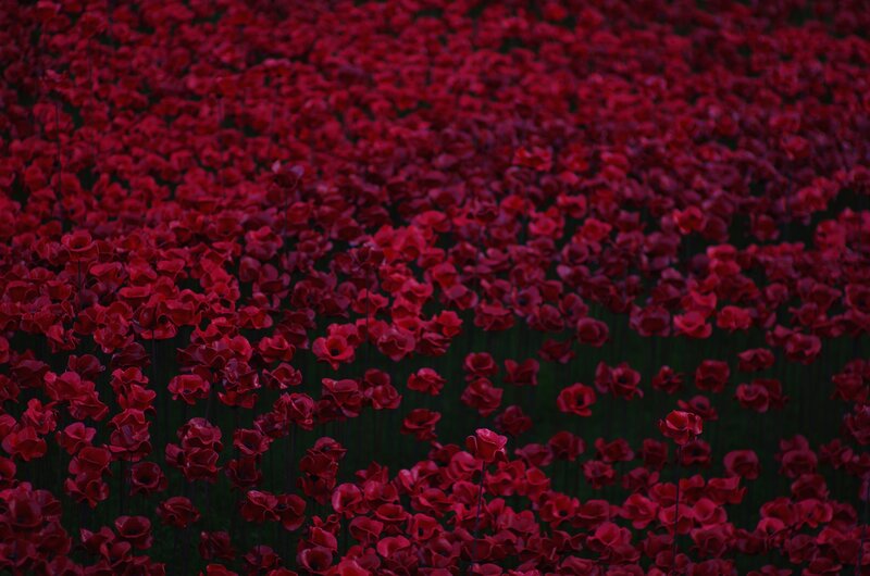 Red Poppy Sculptures