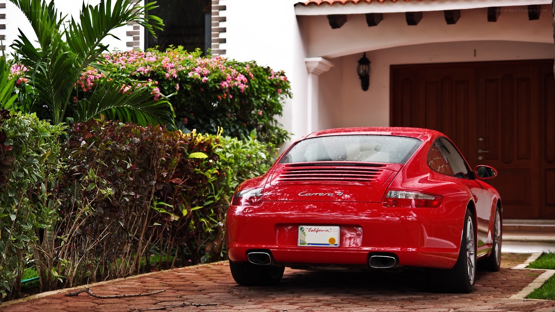 Red Porsche Carrera parked outside
