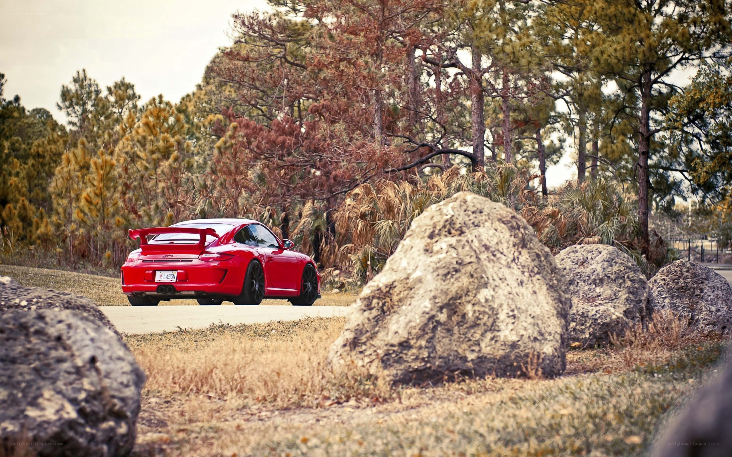 Red Porsche on a forest road