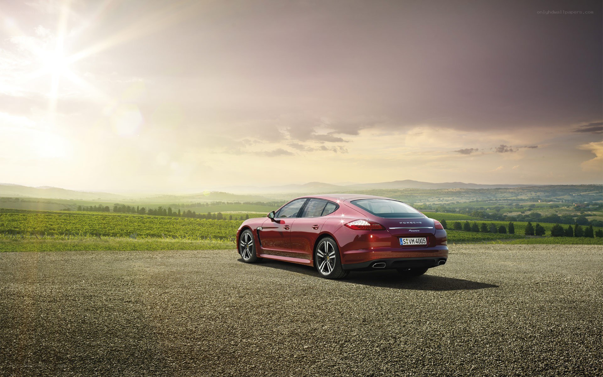 Red Porsche Panamera in vineyard