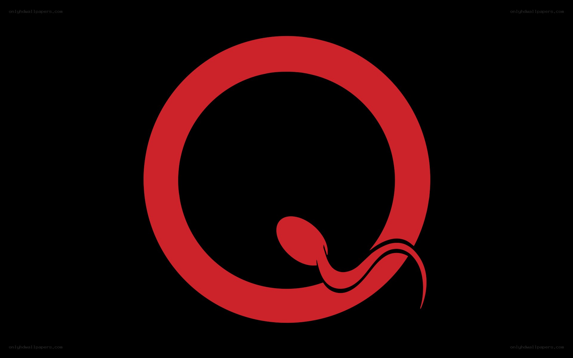 Red Q logo with sperm design