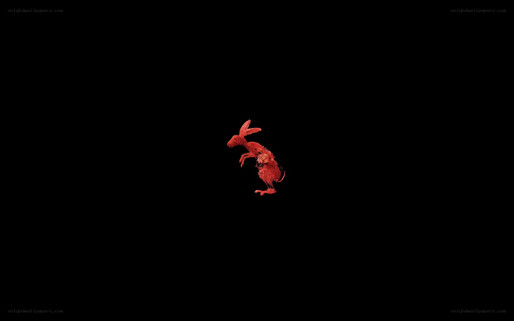 Red rabbit sculpture on black