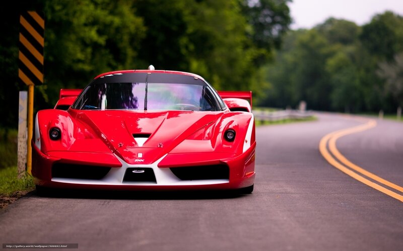Red Race Car on Road — Dynamic, Afternoon, Photograph, Trees