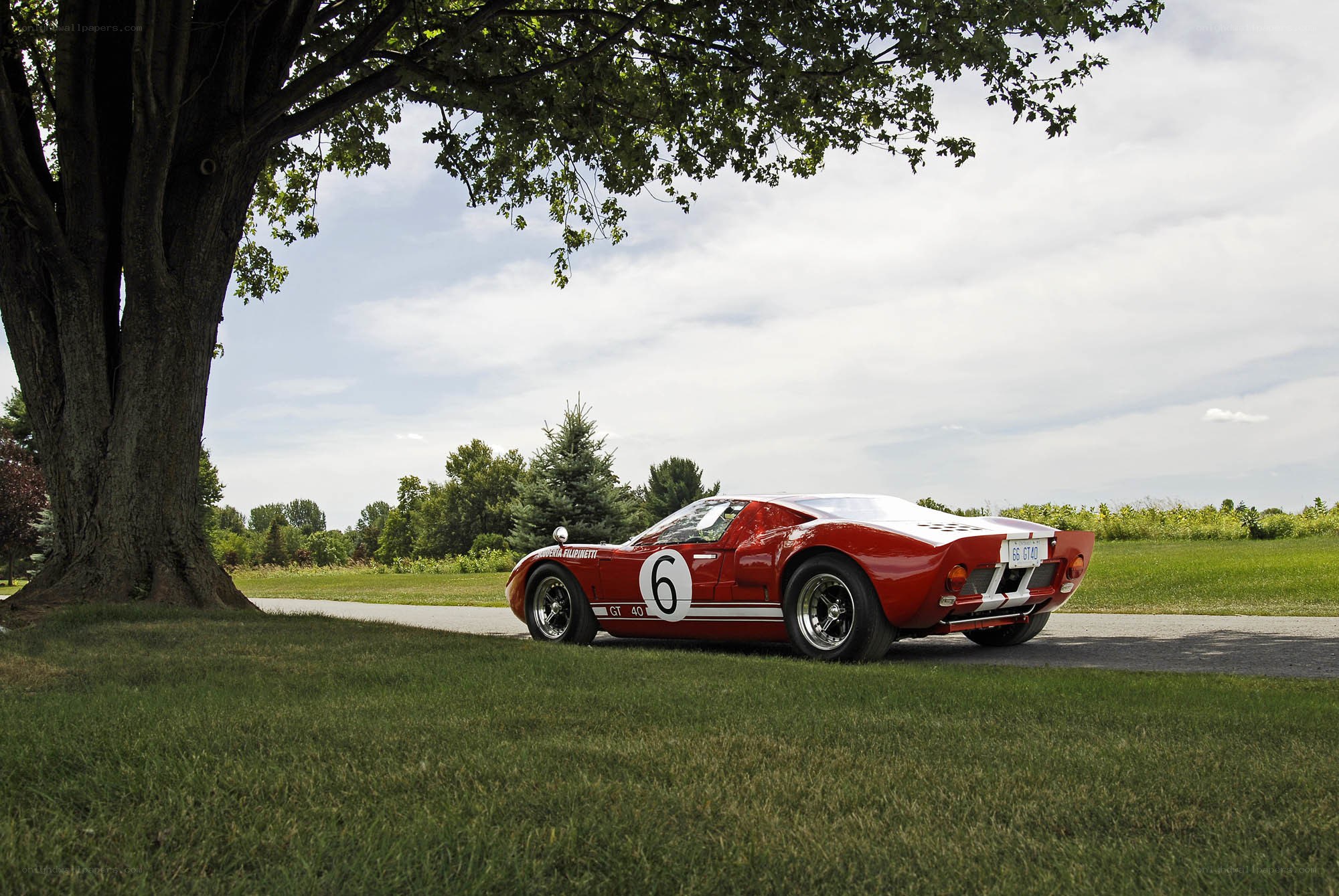 Red race car under a tree