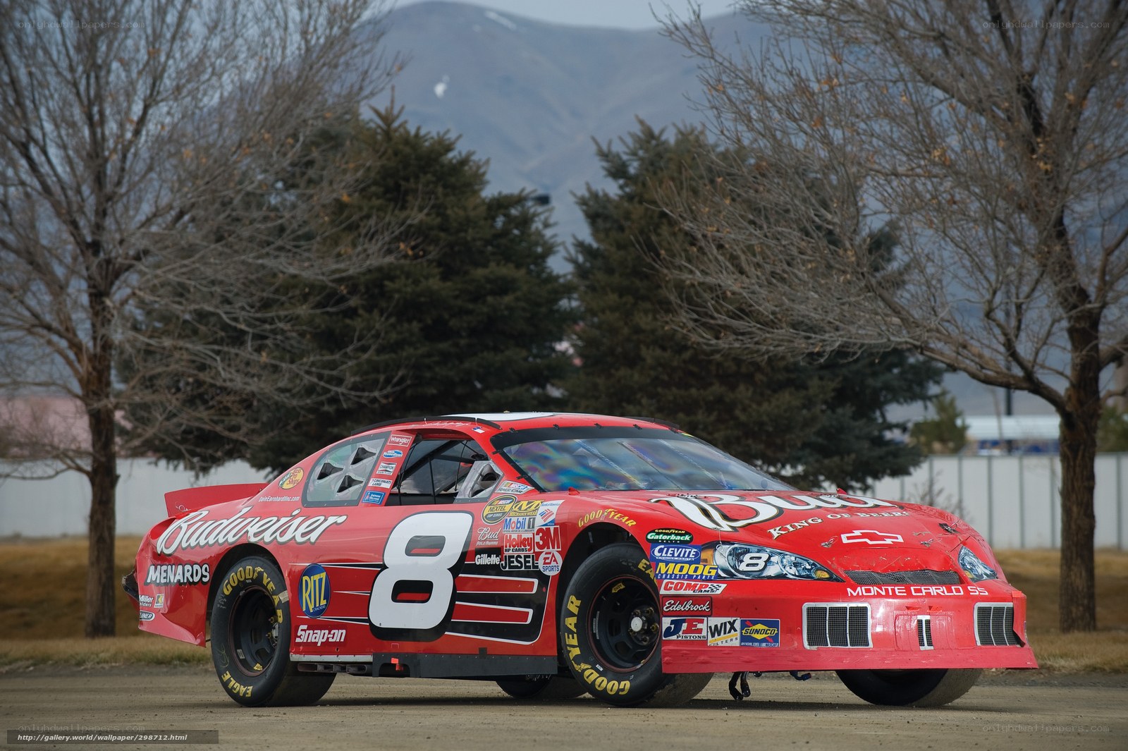 Red race car with Budweiser branding