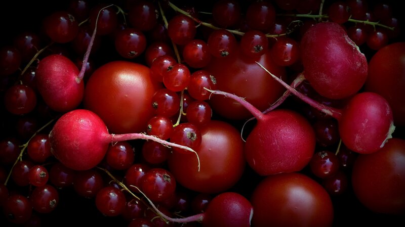 Red Radishes and Berries
