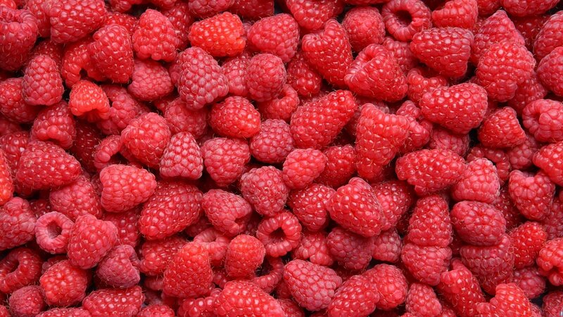 Red Raspberries — Fresh