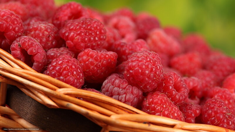 Red Raspberries in Basket — Natural