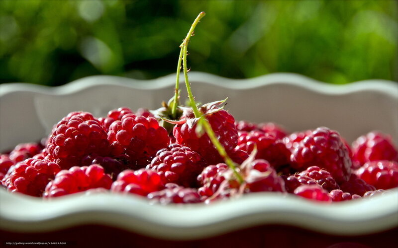 Red Raspberries in Bowl — Natural