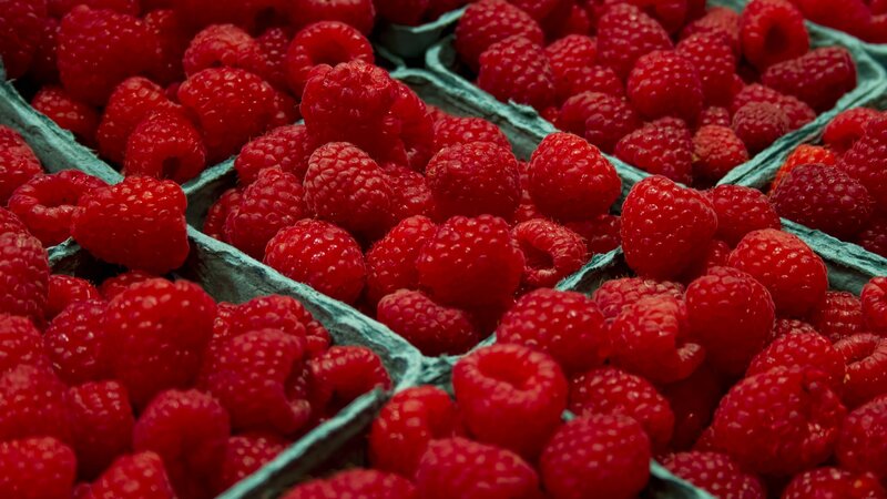Red Raspberries in Cartons — Fresh